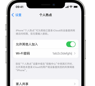 扎兰屯apple服务站点分享iPhone上个人热点丢失了怎么办