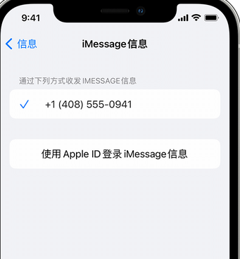 扎兰屯apple维修iPhone上无法正常发送iMessage信息 