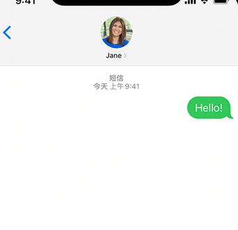 扎兰屯apple维修iPhone上无法正常发送iMessage信息