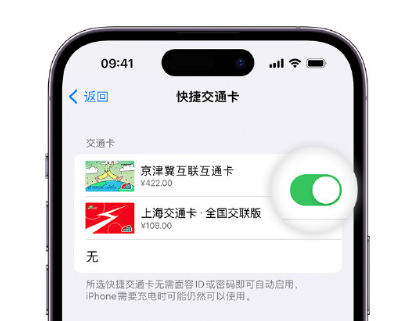 扎兰屯apple维修点分享iPhone上更换Apple Pay快捷交通卡手绘卡面 