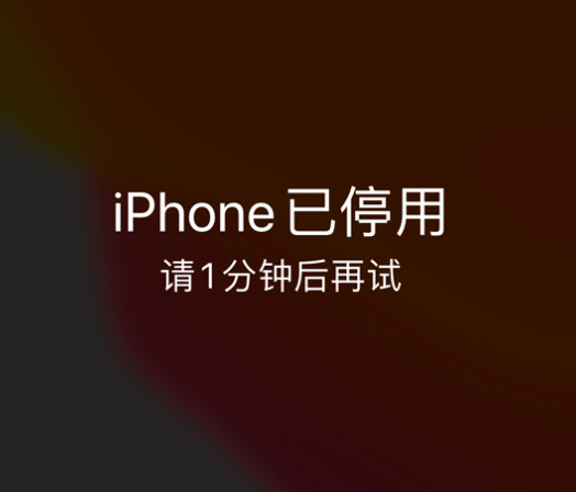 扎兰屯苹果手机维修分享:iPhone 显示“不可用”或“已停用”怎么办？还能保留数据吗？ 