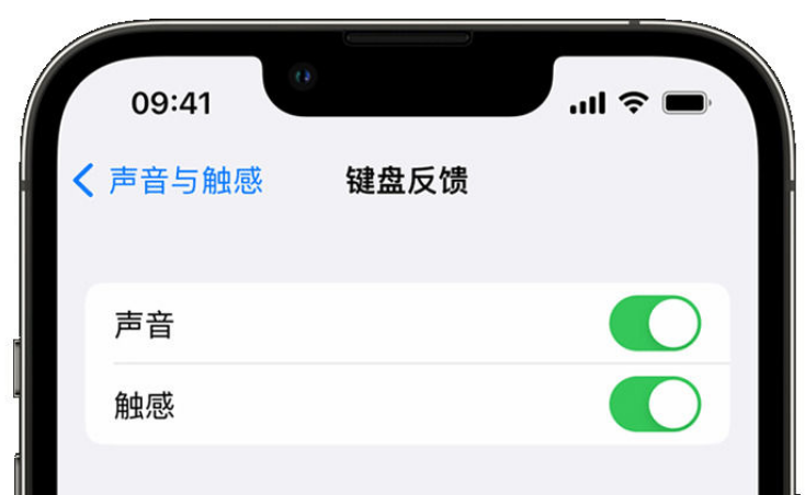 扎兰屯苹果手机维修分享iPhone 14触感键盘使用方法 