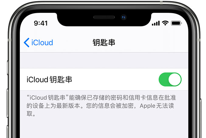 扎兰屯苹果手机维修分享在 iPhone 上开启 iCloud 钥匙串之后会储存哪些信息 